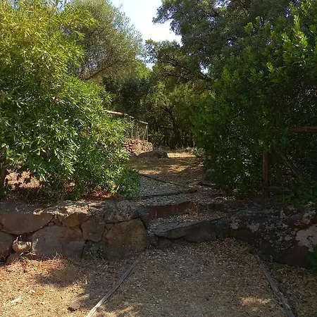 Casa Golloi Guest house